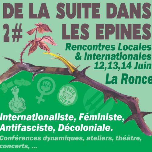 De la suite dans les épines ! #2